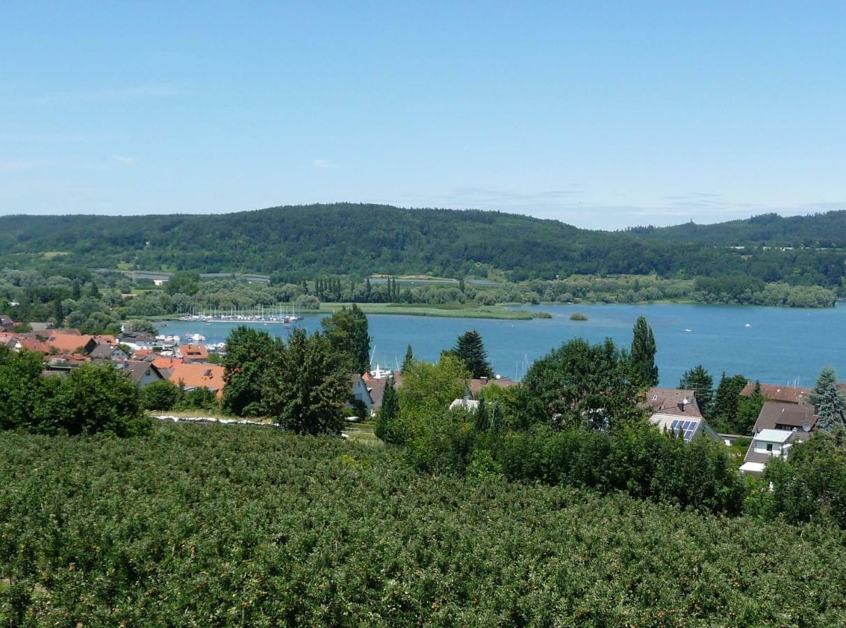 Haus Bodenseeblick Ludwigshafen am Bodensee Kültér fotó